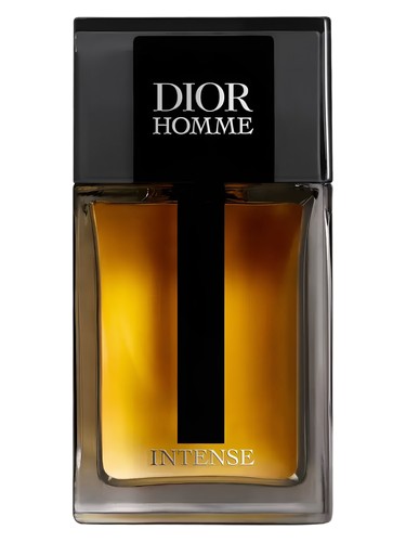 Amazon.com : Christian Dior Dior Homme Intense Eau De Parfum