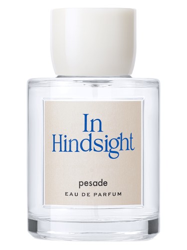 haaachanpesade香水 In Hindsight 100ml In Hindsight Pesade perfume - a fragrance for women and men 2022
