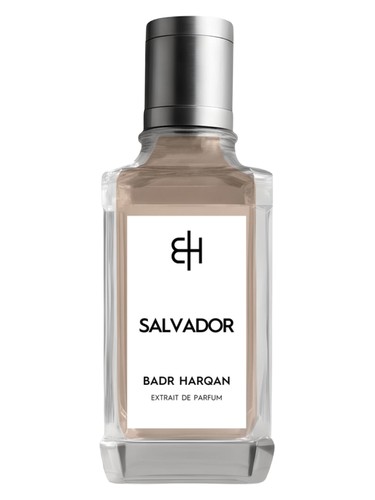 Salvador by Badr Harqan