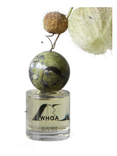 Whoa Frankly pro ženy a muže 