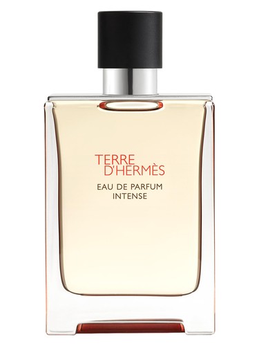 Terre d’Hermès Intense Hermès pro muže 