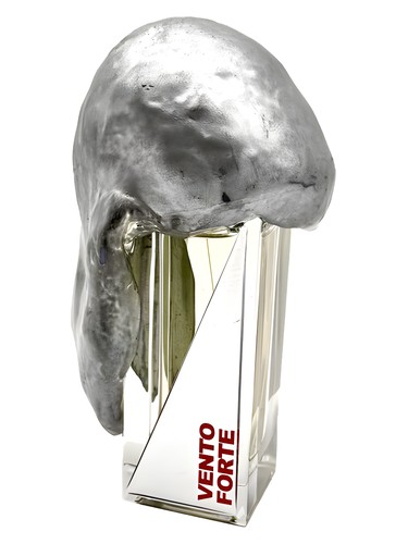 Vento Forte Extrait de Parfum Filippo Sorcinelli pro ženy a muže