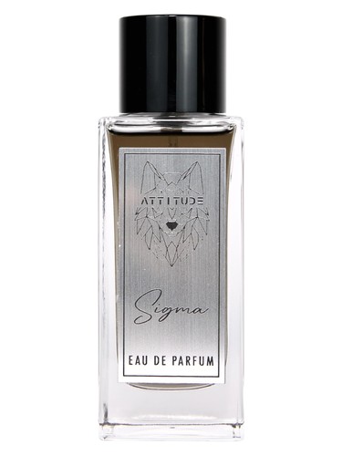 Sigma Attitude pro muže
