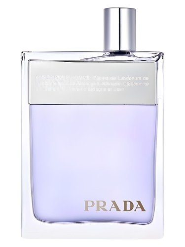 楽天市場】香水 PRADA プラダ オム EDT・SP 100ml 【送料無料