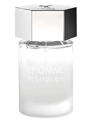 perfume L'Homme Eau d'Eté Yves Saint Laurent pro muže 