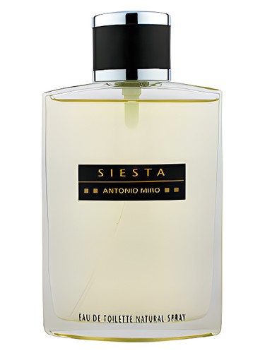 Siesta Antonio Miro cologne a fragrance for men 1996