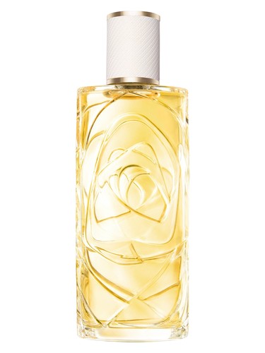 超激安 Ô Zenith Lancôme perfume - a new fragrance for women 2025 香水(ユニセックス)