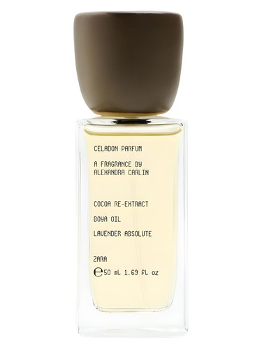 Celadon Zara pro muže