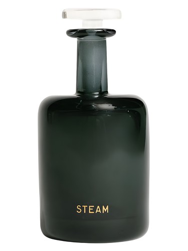 Steam Perfumer H perfume - a new fragrance for women and men