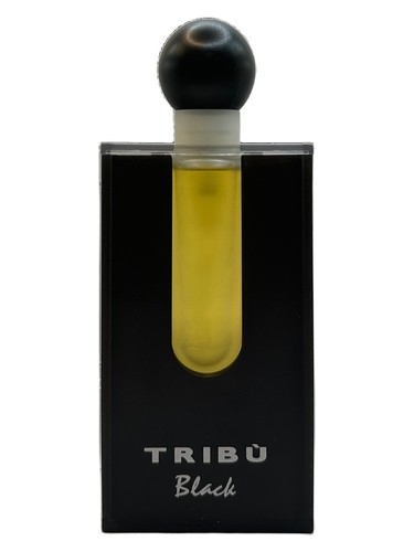 Tribu Black Pour Homme