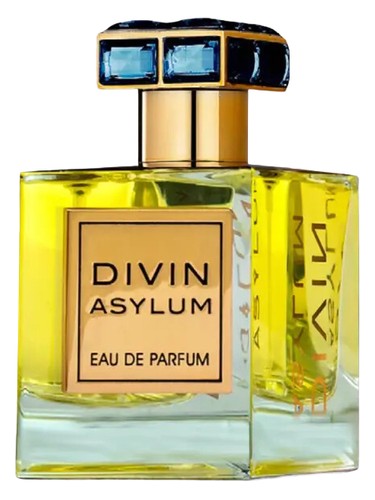 Divin Asylum Fragrance World pro muže 