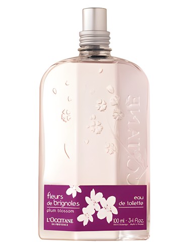 Fleurs de Brignoles (Plum Blossom) L&#039;Occitane en Provence pro ženy 