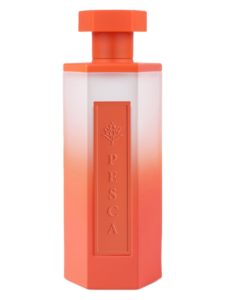 pesca-reef-perfumes-perfume-a-new-fragrance-for-women-and-men-2024