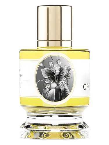 ズーロジスト　オーキッドマンティス Zoologist Orchid Mantis Sample