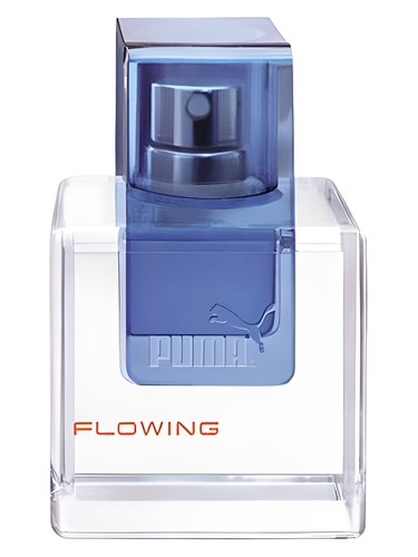 Flowing Man Puma pro muže 