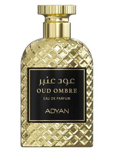 Oud Ombre Adyan by Anfar pro muže