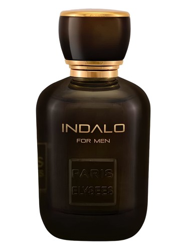 perfume Indalo Paris Elysees pro ženy a muže 
