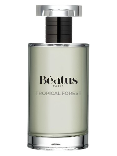 Tropical Forest