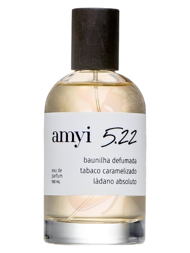 Amyi 5.22 by Amyi