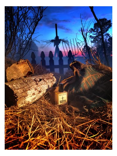 Patches Solstice Scents pro ženy a muže 