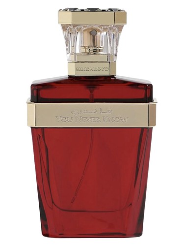 You Never Know Hind Al Oud pro ženy a muže 