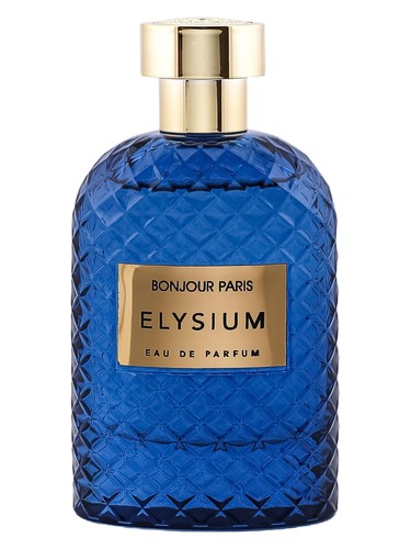 Elysium Bonjour Paris pro muže 