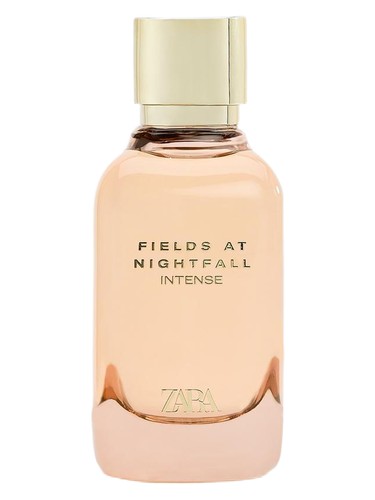 Fields At Nightfall Intense Zara perfume a new fragrance for