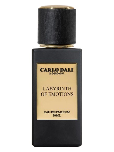 Labyrinth of Emotions Carlo Dali pro muže 