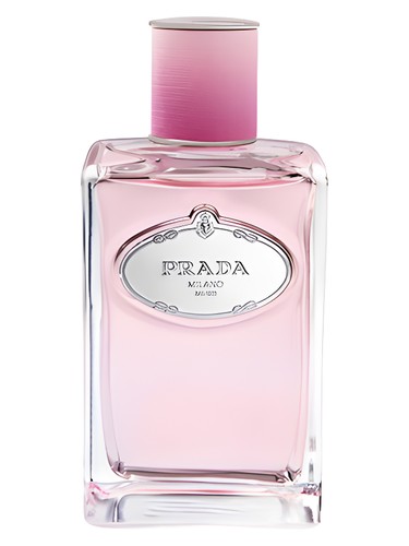 Infusion de Rose Prada perfume - a fragrance for women 2011