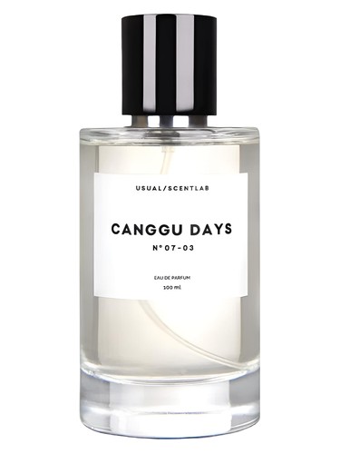 Canggu Days № 07-03 Usual Parfums pro muže 