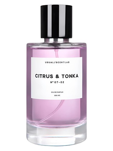 Citrus & Tonka Usual Parfums pro muže