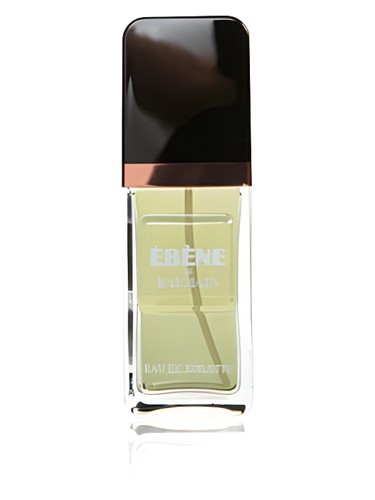 Ébène Pierre Balmain pro muže