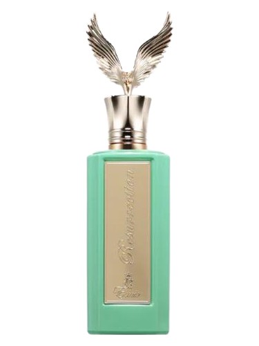 Resurrection PARIS CORNER pro ženy a muže