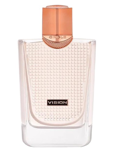 perfume Vision Men Gingle pro muže 