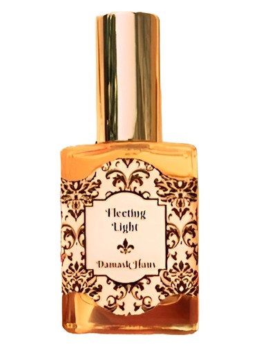 Fleeting Light Damask Haus pro ženy a muže 