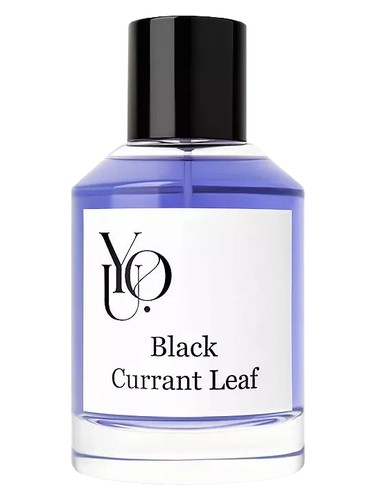 perfume Black Currant Leaf YOU pro ženy 