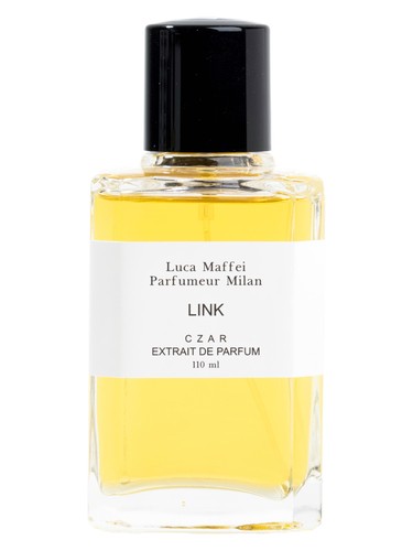 LINK X Luca Maffei