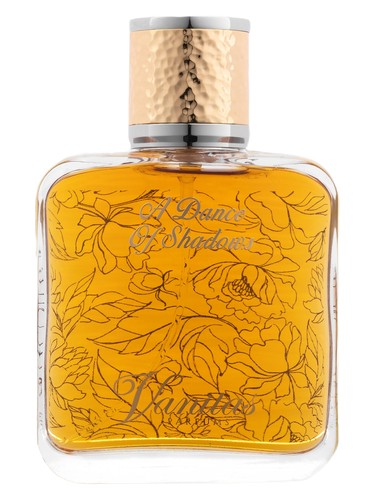 perfume A Dance Of Shadows Vanitas Parfums pro muže 