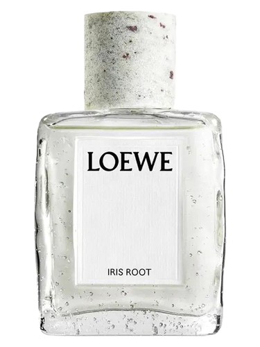 Iris Root Loewe pro ženy a muže 