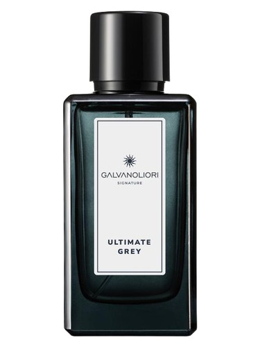 Galvanoliori Ultimate Grey Parfums Constantine pro muže 