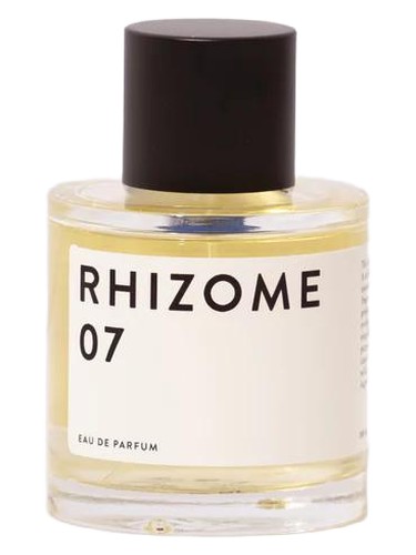 Rhizome 07