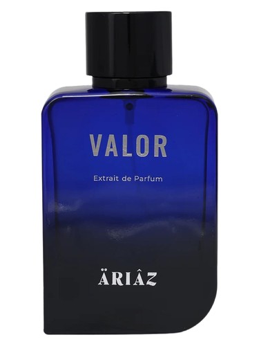 perfume Valor ÄRIÂZ pro muže 