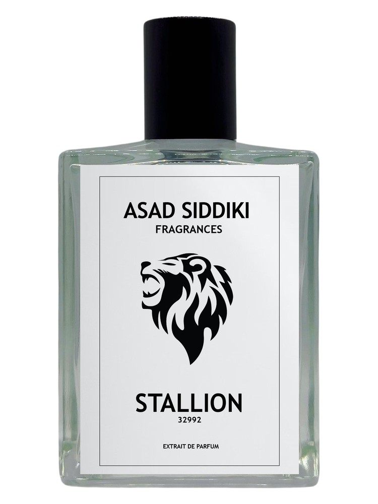 Stallion 32992 Asad Siddiki cologne - a new fragrance for men 2025