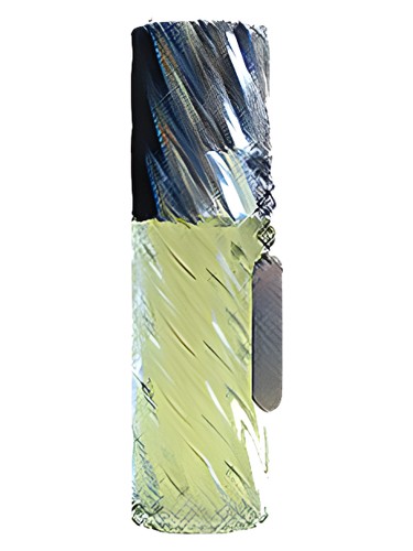 perfume Roberta Roberta di Camerino pro ženy 