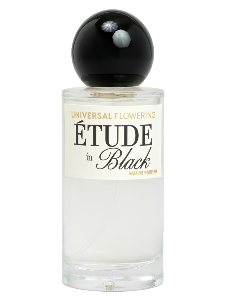 Étude in Black Universal Flowering perfume - a new fragrance for women ...
