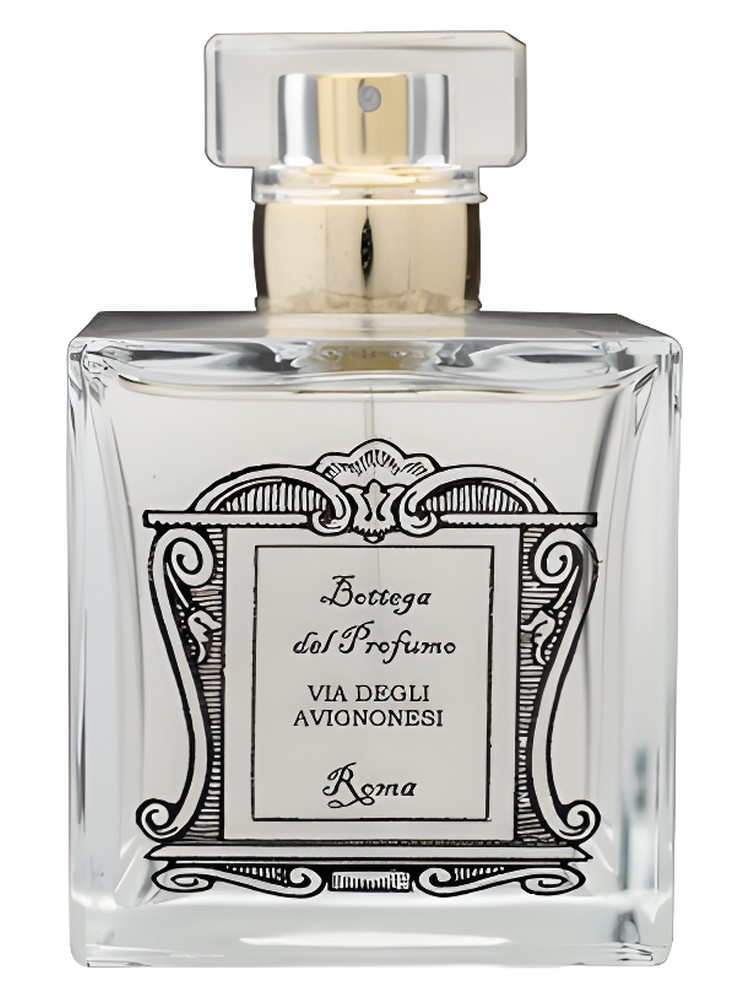 Via degli Avignonesi Bottega del Profumo perfume - a fragrance for ...
