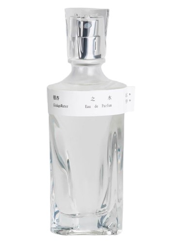Ginkgo Water yin xing zhi shui