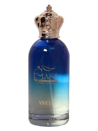 perfume Acer Rose Class pro muže 