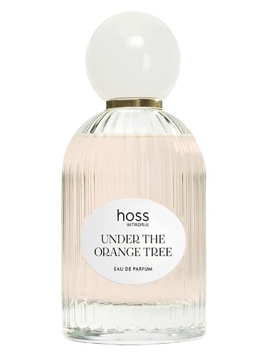 perfume Under The Orange Tree Hoss Intropia pro ženy 