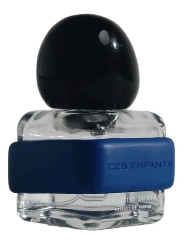 Extroverted Introvert